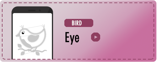 Bird Eye Badge